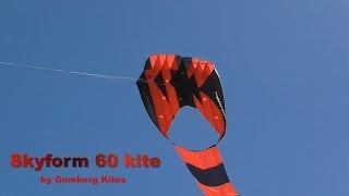 Skyform 60 parafoil kite [upl. by Yebot51]