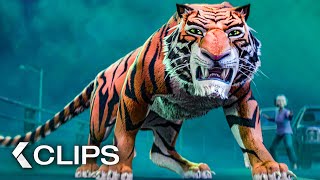 THE TIGERS APPRENTICE All Clips amp Trailer 2024 [upl. by Eipper]