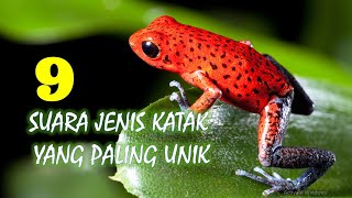 9 Suara Jenis Katak yang Paling Unik [upl. by Ayam]