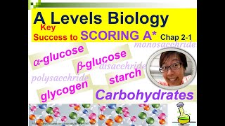 Carbohydrates Glucose Maltose Starch Glycogen  Lesson 21  YH HO [upl. by Langan]