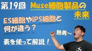 【Muse細胞製品の未来】再生医療がアツい！ES細胞とiPS細胞との違いは？特徴は？メリットは？デメリットは？適応症は？開発は進んでいる？これさえ見ればわかる！ vol19 [upl. by Laina496]