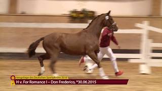 For Romance I  Don Frederico 2015 [upl. by Aneehsor814]