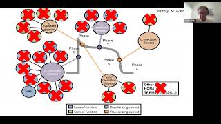 Genetics of Brugada Syndrome [upl. by Rebmak415]