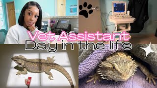 Day in the life  Veterinary Assistant ✨🐾 [upl. by Ecila]