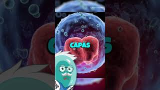 Teratomas ¡¿Los Tumores con Dientes curiosidades sabiasque historia medicina ciencia shorts [upl. by Pasco]