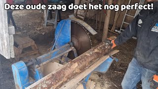 Skivakantie stammen zagen en worstjes grillen op een kampvuur in eigen tuin Wonen in Zweden VLOG5 [upl. by Ellinad307]