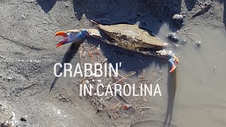 Crabbin in Carolina  Fishing Charleston SC [upl. by Conover335]