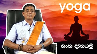 yoga sinhala l යෝගා මුලසිට ඉගෙන ගනිමු l Ruwan weeraratna [upl. by Aerdnaek]