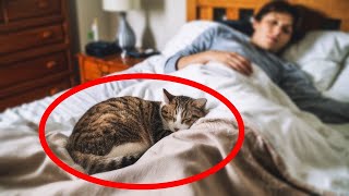 Should You Really Let Your Cat SLEEP WITH YOU IN BED 😼 What Science Says [upl. by Ailssa]