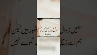 True lines in Urdu arabic music [upl. by Derrik496]