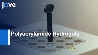 Preparation DNACrosslinked Polyacrylamide Hydrogels l Protocol Preview [upl. by Dona75]