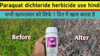 paraquat dichloride herbicide use [upl. by Nugent]