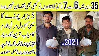 2021 Latest Poultry Farming Business in Pakistansemi control poultry farm Karobari Slah official [upl. by Haleehs592]