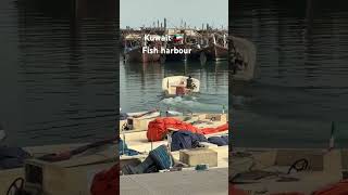 Alkhout fahaheel Fish harbourKuwait [upl. by Sutniuq]