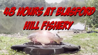 48hrs at Blasford Hill Fishery Chelmsford [upl. by Aniad]