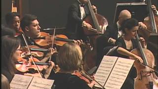 Camerata Chicago Tippett Sellingers Round Mov 2 [upl. by Percy489]