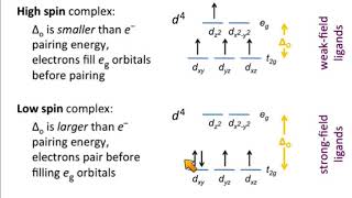 Electron Configurations of Coordination Complexes [upl. by Nowyt619]