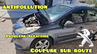 Antipollution à contrôler coupure sur route Peugeot 207 Hdi 🫡✅️ [upl. by Ulrika]