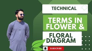 Technical terms in Flower and Floral diagrams  Fsc Bio practical [upl. by Asiela]