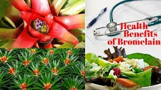 6 Unbelievable Health Benefits of Bromelain [upl. by Yentrac]