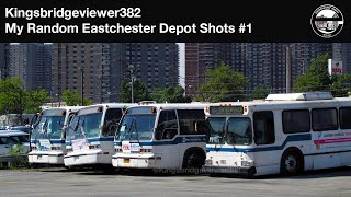 MTA Bus Company My random Eastchester Bus Depot shots in the Summer of 2014 [upl. by Ayalahs]