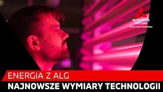 Najnowsze wymiary technologii  energia z alg [upl. by Werdnaed]