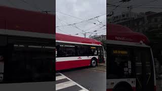 Packed 510 Spadina Replacement TTC Bus Bus [upl. by Kehoe]