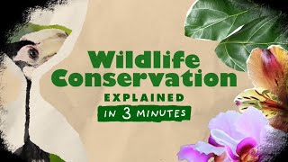 Wildlife Conservation  Explained in 3 Minutes 04 [upl. by Ahseirej608]