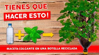 Macetas colgantes con botellas de plastico IDEALES PARA HACER EN CASA [upl. by Yelsa356]