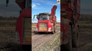 BIG HOLMER CHASER BIN CARTING MAIZE FOR SILAGE agri [upl. by Quickman735]