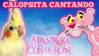 CALOPSITA CANTANDO  A PANTERA COR DE ROSA Treinamento para calopsita [upl. by Adidnere325]