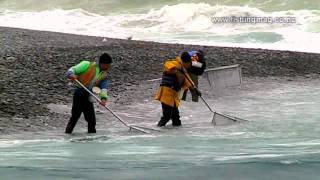 Whitebait Scoop Netting Rakaia River Mouth Fishing [upl. by Weihs]