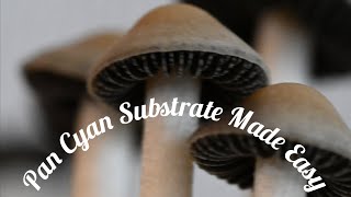 Pan Cyan Substrate Made Easy [upl. by Dafodil]