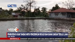 PEMBUDIDAYA IKAN TAMBAK MINTA PENGERINGAN IRIGASI RIAM KANAN JANGAN TERLALU LAMA [upl. by Anayi]