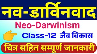 नव डार्विनवाद का सिद्धांत  neo darwinism theory of evolution  neo darwinism theory in hindi bio [upl. by Attelra]