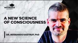 Is Reality Made of Consciousness  Dr Bernardo Kastrup PhD [upl. by Alika]