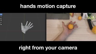 Hands motion capture finger tracking just with a regular camera and AI [upl. by Yelsnia527]