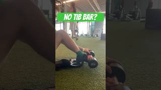 Weighted Tibialis Raise WITHOUT Tib Bar [upl. by Wilser]