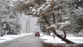 March Snowfall in Port Credit Mississauga area [upl. by Jasmine]