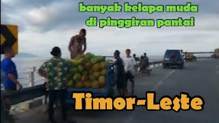 Keindahan Pantai Timor Leste sore hari [upl. by Ruttger]