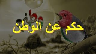 حكم عن الوطن [upl. by Irrab]