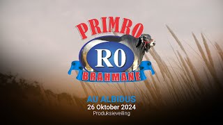 Primro Brahmane [upl. by Chelsie]