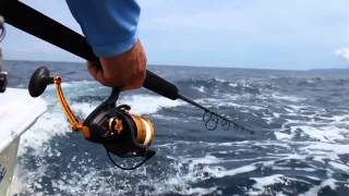 Live Baiting for Yellowfin Tuna [upl. by Meagher]