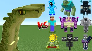 Minecraft  Hydra vs All Boss Mobs  Hydra vs Wither vs Warden vs Ferrous  Mob Battle [upl. by Ettevroc910]