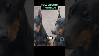 quotDoberman vs Rottweiler Who Wins the Ultimate Showdownquot IN A FIGHT [upl. by Alysa599]