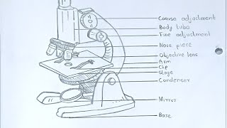 Class 12Plus twoBotany practical recordMICROSCOPE amp STUDY OF LOWER GROUP OF ORGANISMSbotany [upl. by Asikal]