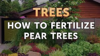 How to Fertilize Pear Trees [upl. by Sirhc]