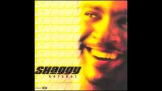 Keepn It Real  Shaggy [upl. by Manchester]