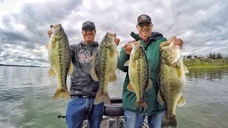 Catching Big Spring Bass On Little Baits [upl. by Brenan]