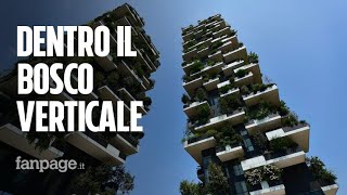 Siamo entrati nel Bosco Verticale ecco comè un lussuoso appartamento tipo [upl. by Inttirb248]